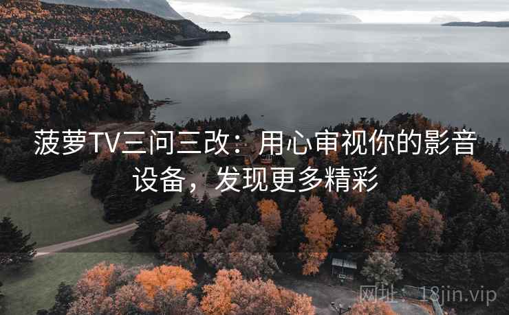 菠萝TV三问三改：用心审视你的影音设备，发现更多精彩