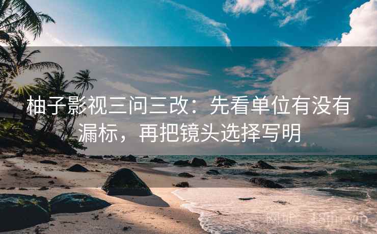 柚子影视三问三改：先看单位有没有漏标，再把镜头选择写明