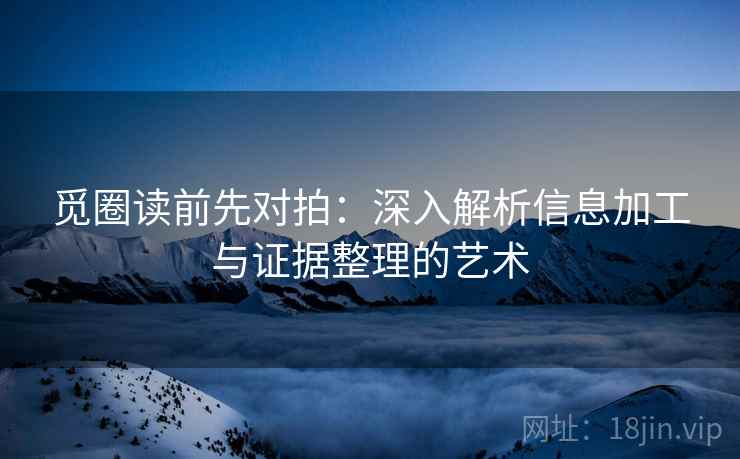觅圈读前先对拍：深入解析信息加工与证据整理的艺术