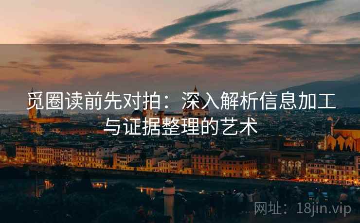 觅圈读前先对拍：深入解析信息加工与证据整理的艺术